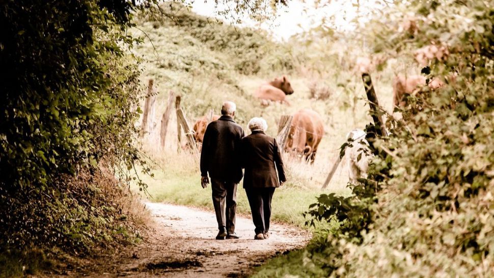 Se dispara el turismo rural en agosto superando el verano de 2023 con ocupaciones del 80%