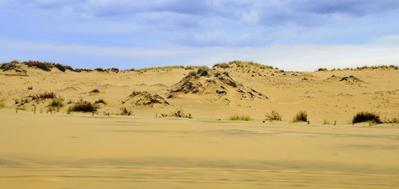 Parque Nacional de Doñana – Andalucía (España) - Dunas