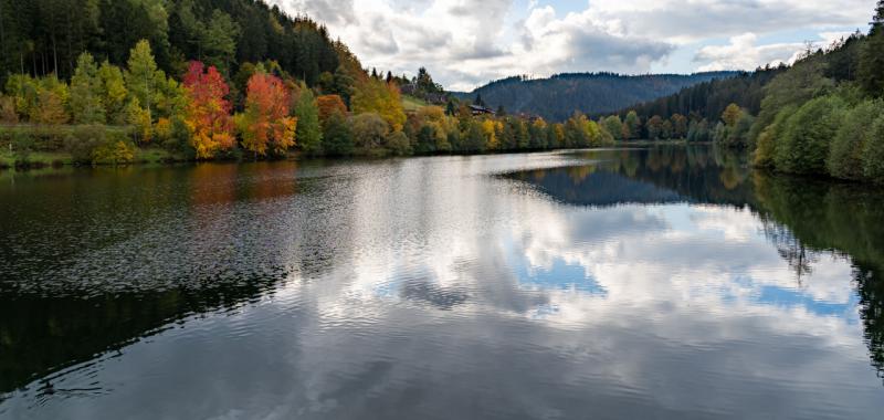 Parque Nacional de la Selva Negra (Alemania) 