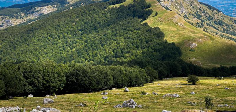 Parque Nacional de los Abruzos – Lacio y Molise (Italia) 